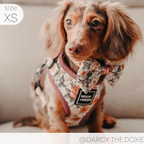 Adjustable Dog Harness product image 18