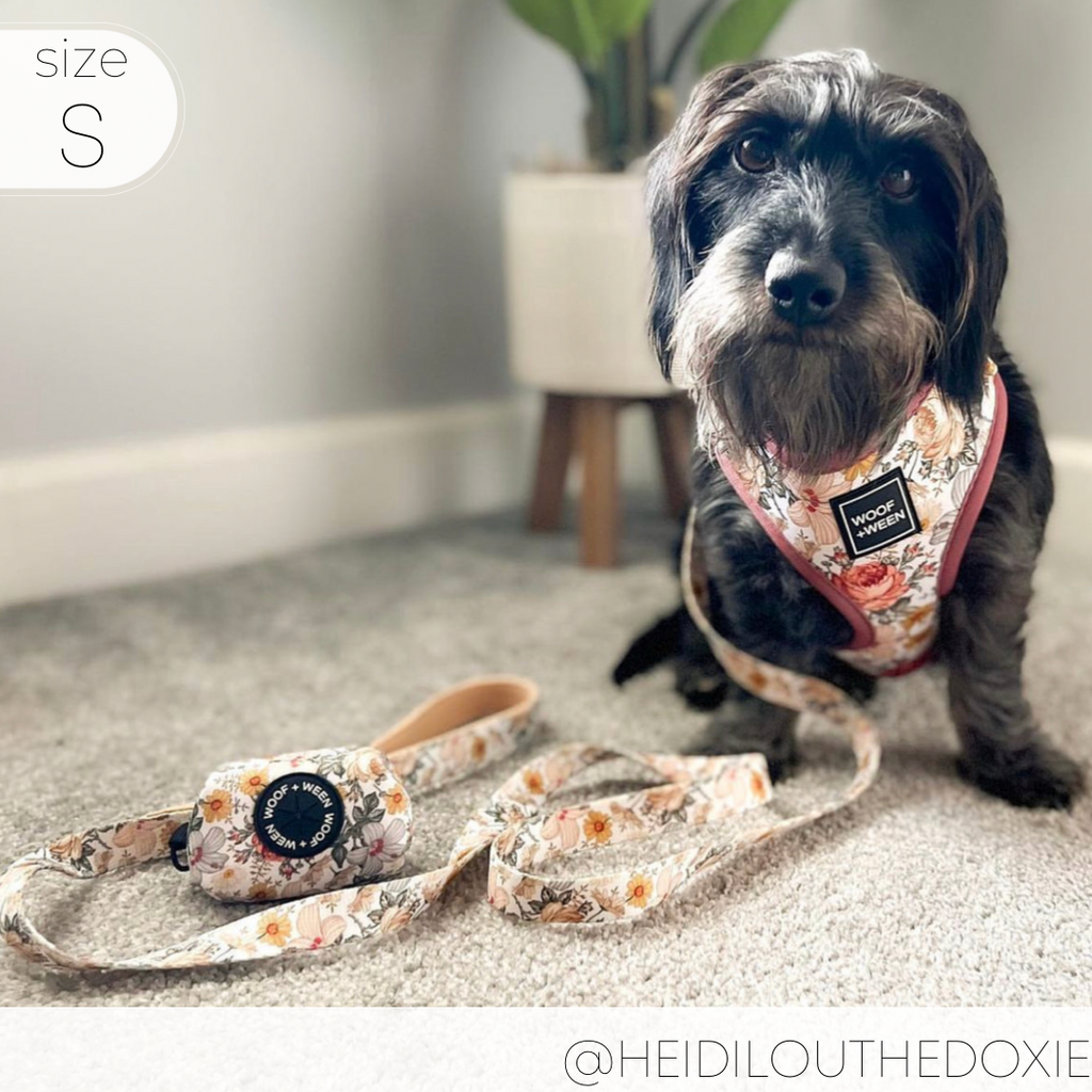 Adjustable Dog Harness product image 20