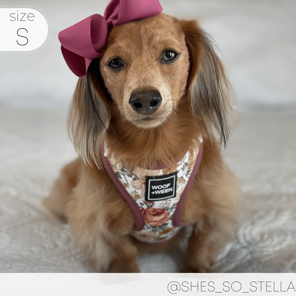 Adjustable Dog Harness product image 21