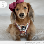 Adjustable Dog Harness product image 21