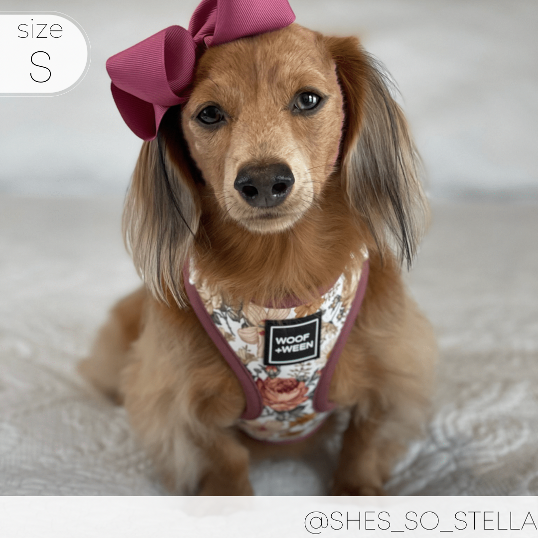 Adjustable Dog Harness product image 21