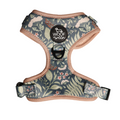 Adjustable Dog Harness product image 1