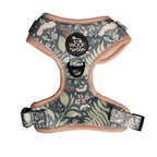Adjustable Dog Harness product image 1