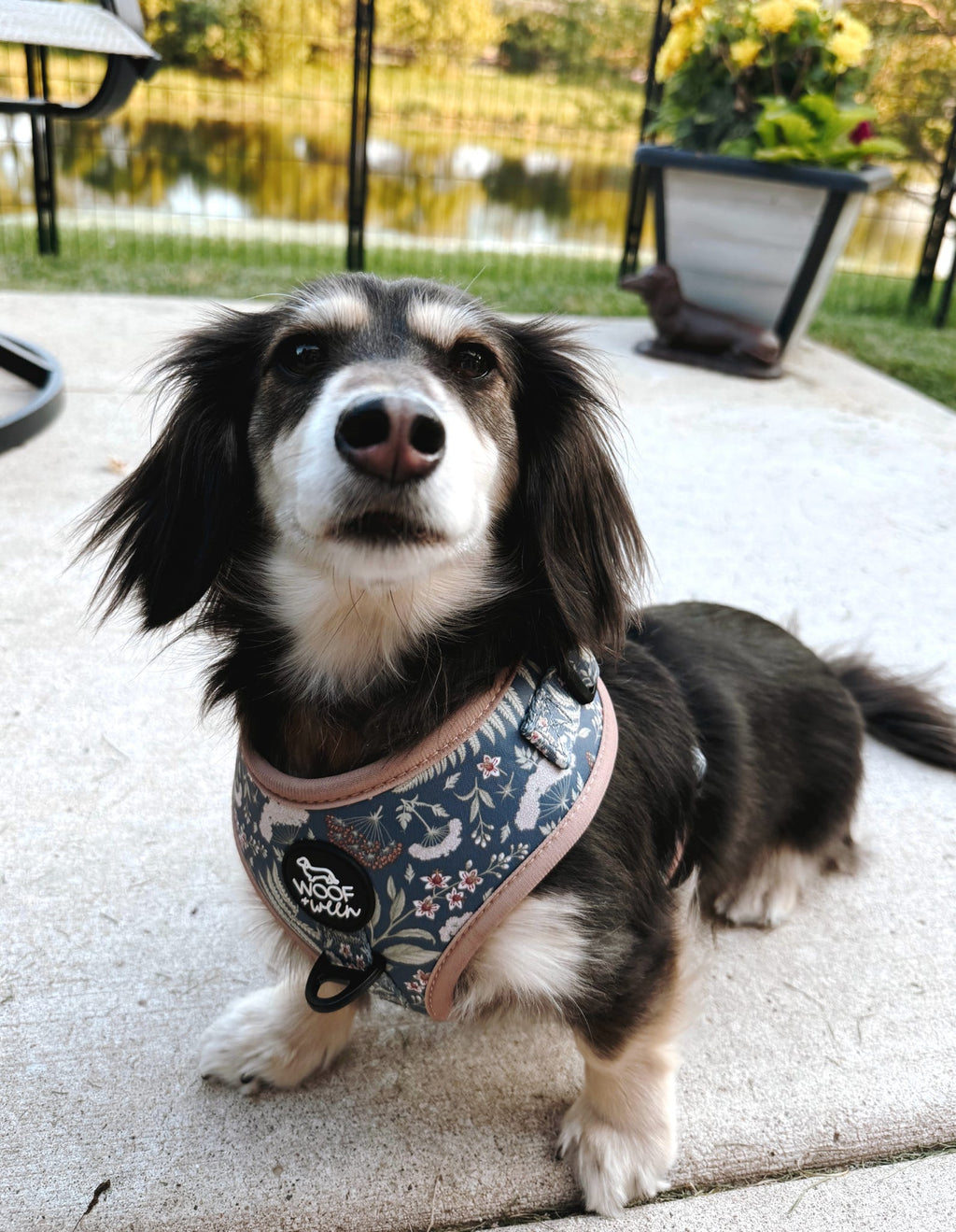 Adjustable Dog Harness product image 4