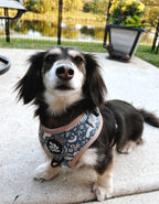 Adjustable Dog Harness product image 4