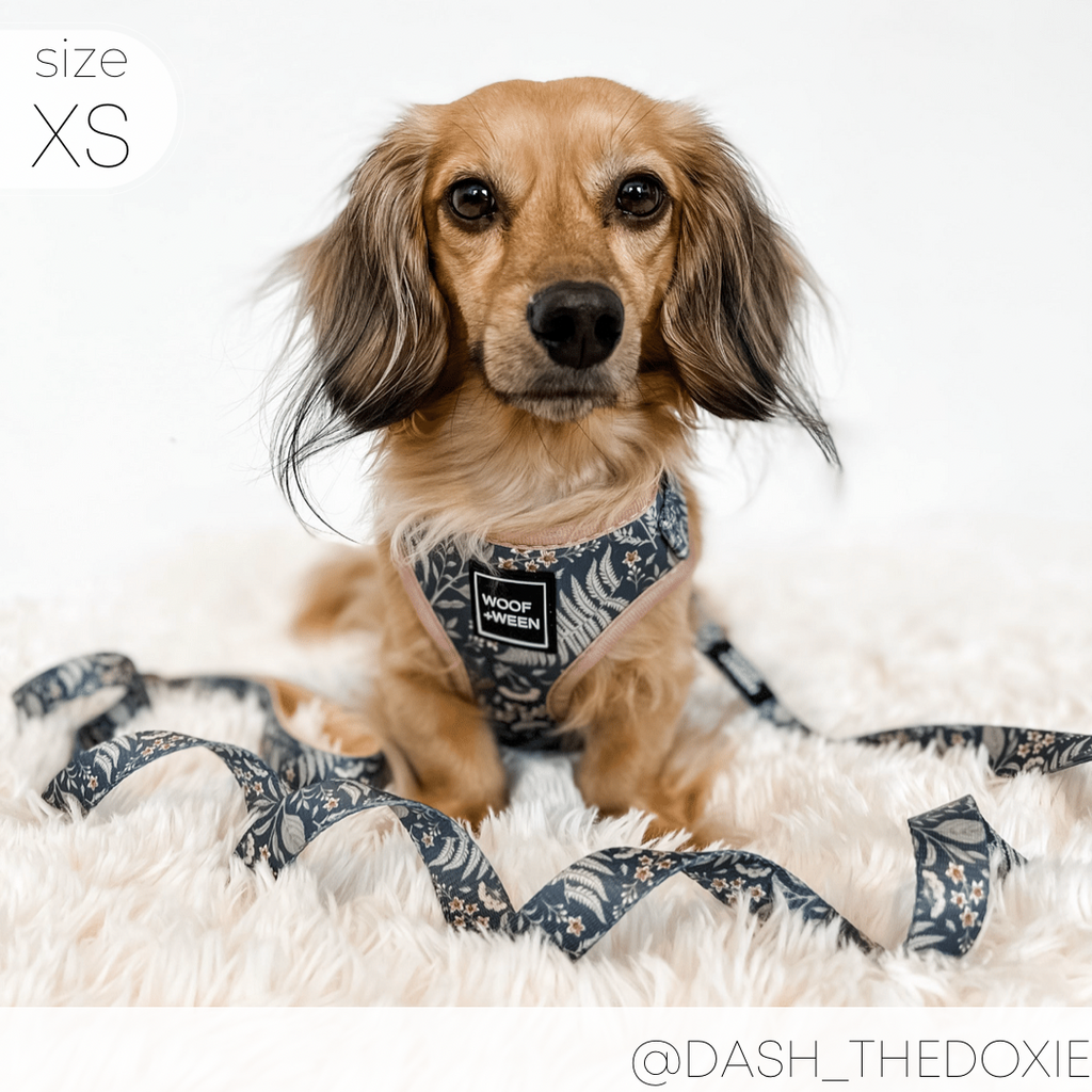 Adjustable Dog Harness product image 5