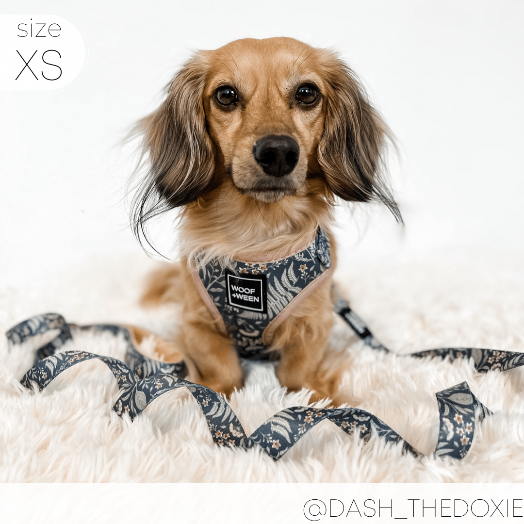 Adjustable Dog Harness product image 5