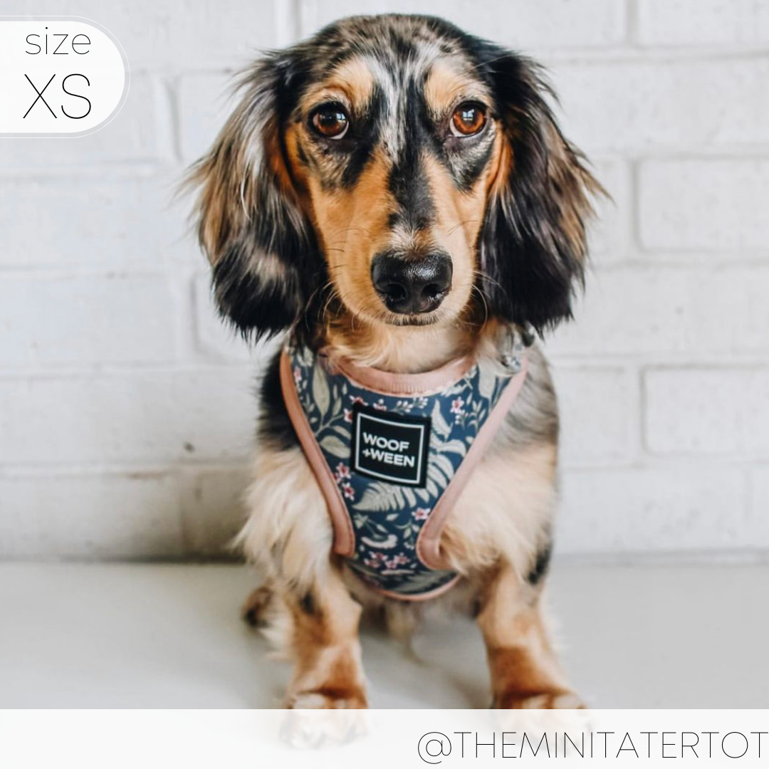 Adjustable Dog Harness product image 6