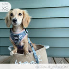 Adjustable Dog Harness product image 7