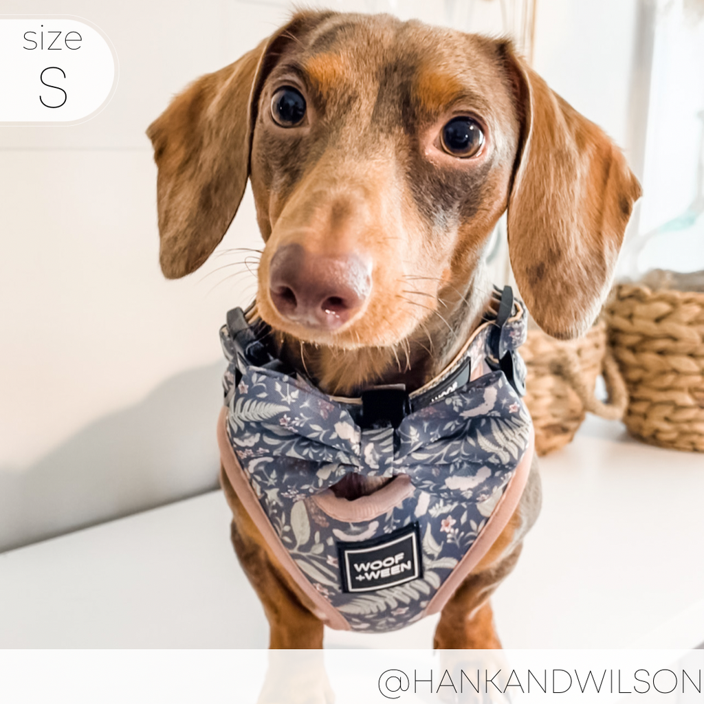Adjustable Dog Harness product image 8