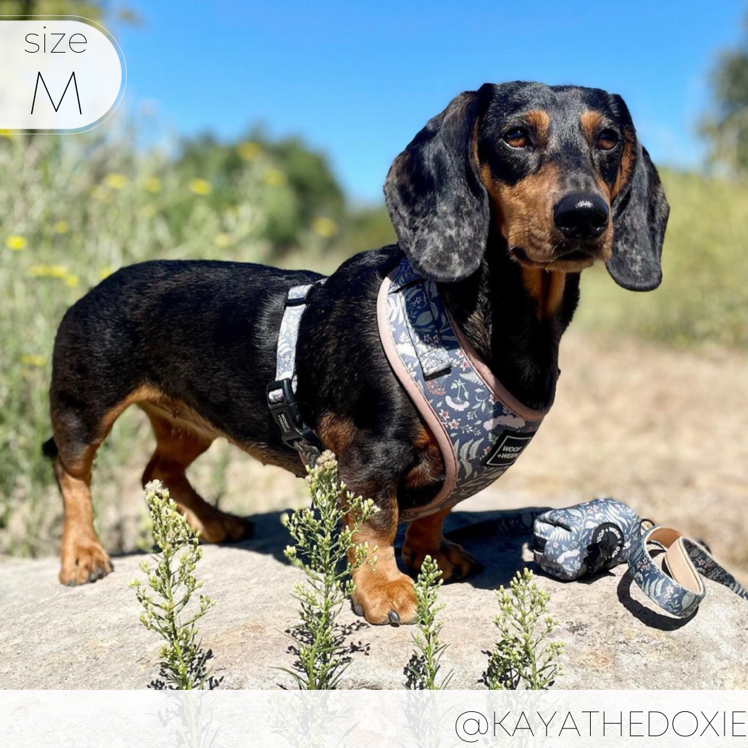 Adjustable Dog Harness product image 9