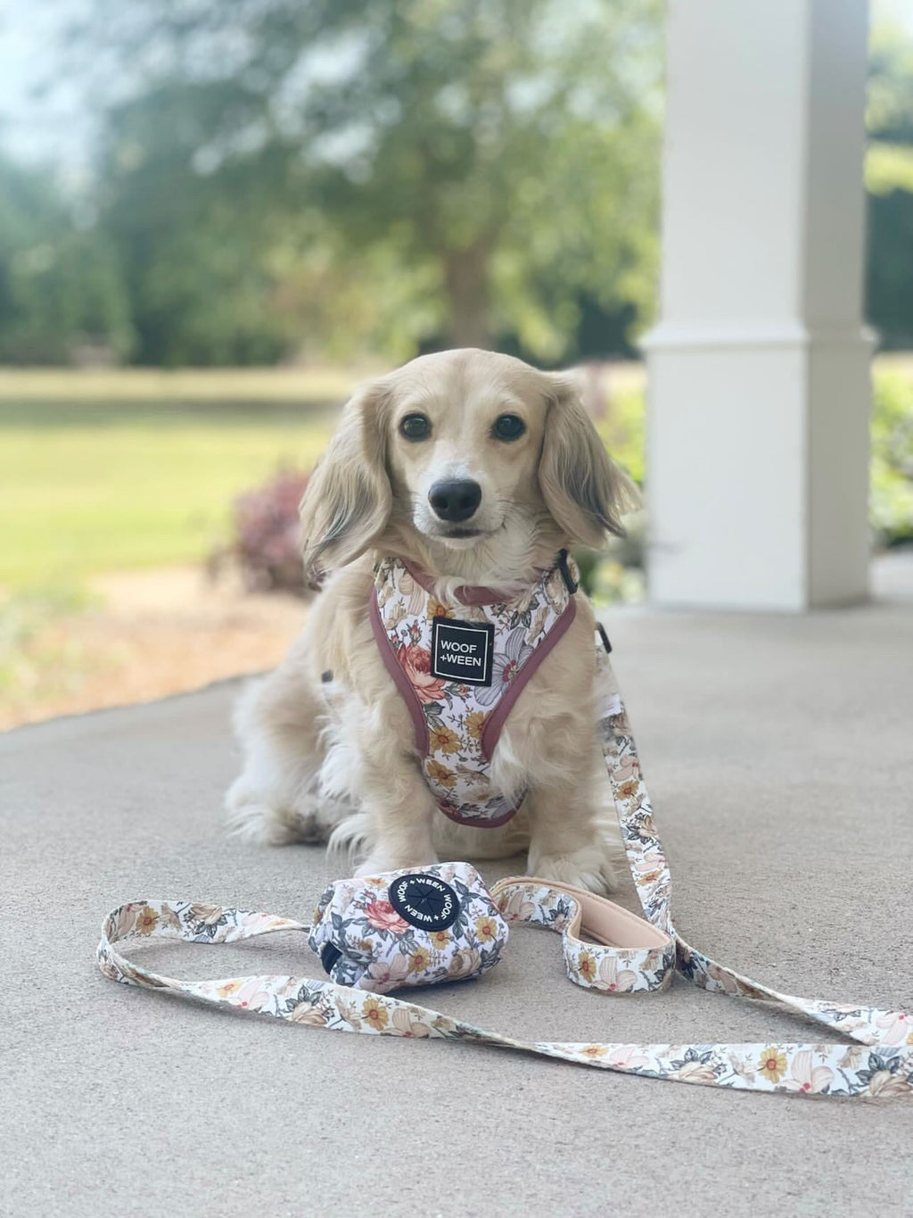 Dog Leash product image 2