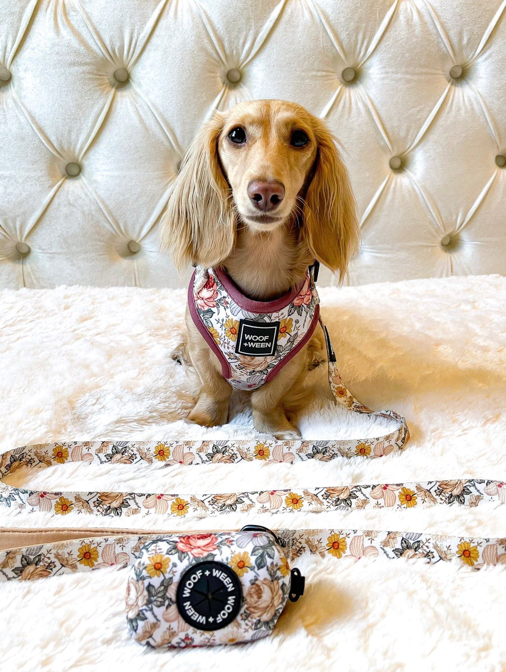 Dog Leash product image 3