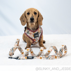 Dog Leash product image 4