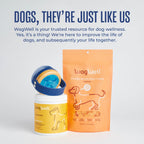 Dog Grooming Brush product image 9