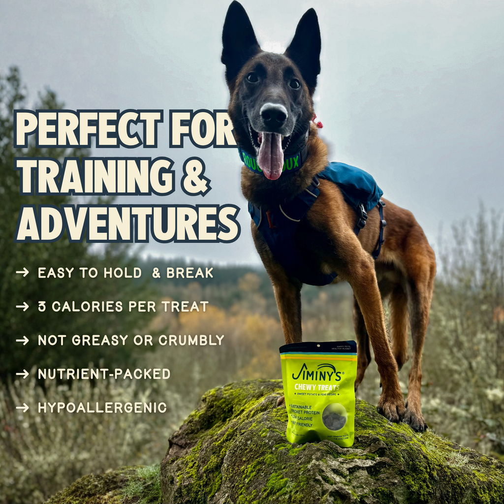 Chewy Dog Treat product image 2