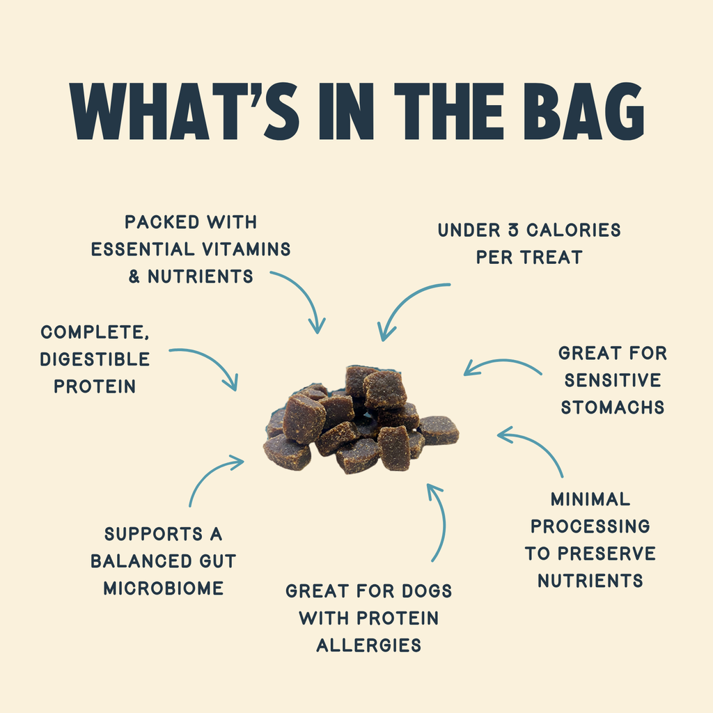 Chewy Dog Treat product image 3