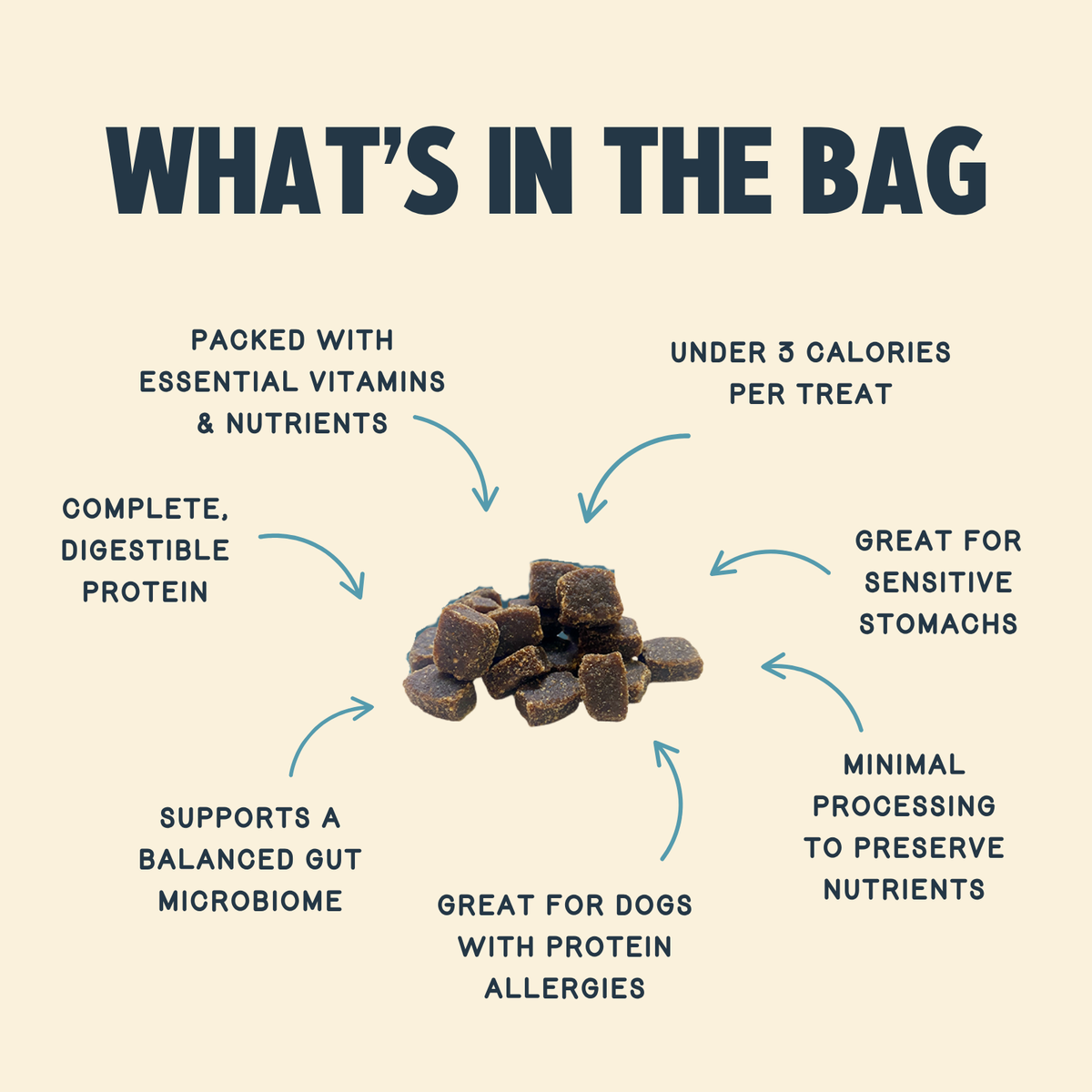 Chewy Dog Treat product image 3