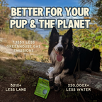 Chewy Dog Treat product image 4