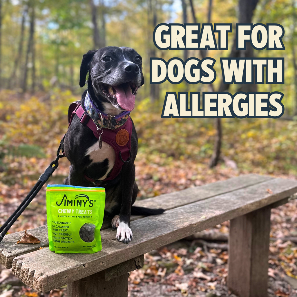 Chewy Dog Treat product image 5