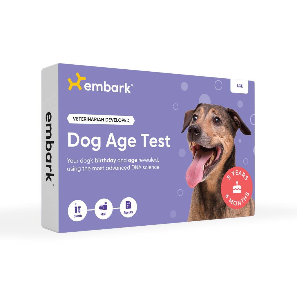 Dog Age Test product image 1