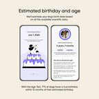 Dog Age Test product image 2
