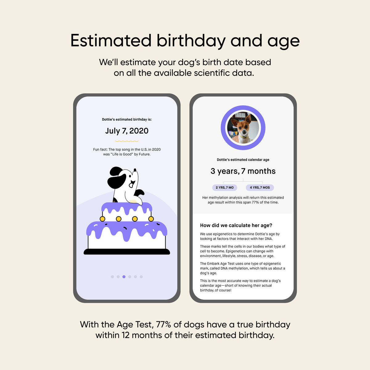 Dog Age Test product image 2