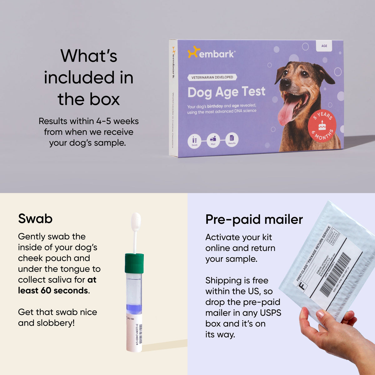 Dog Age Test product image 4