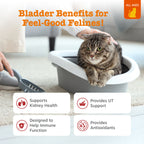 Cat Urinary Supplements product image 2