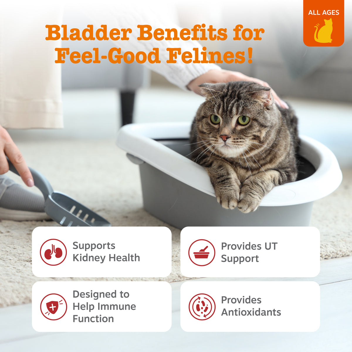 Cat Urinary Supplements product image 2
