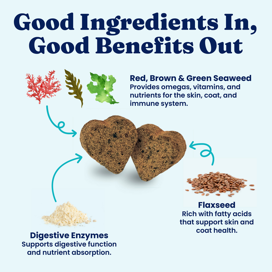 Dog Wellness Chews product image 2