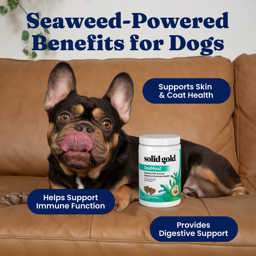 Dog Wellness Chews product image 3