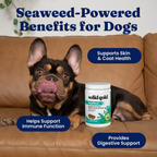 Dog Wellness Chews product image 3