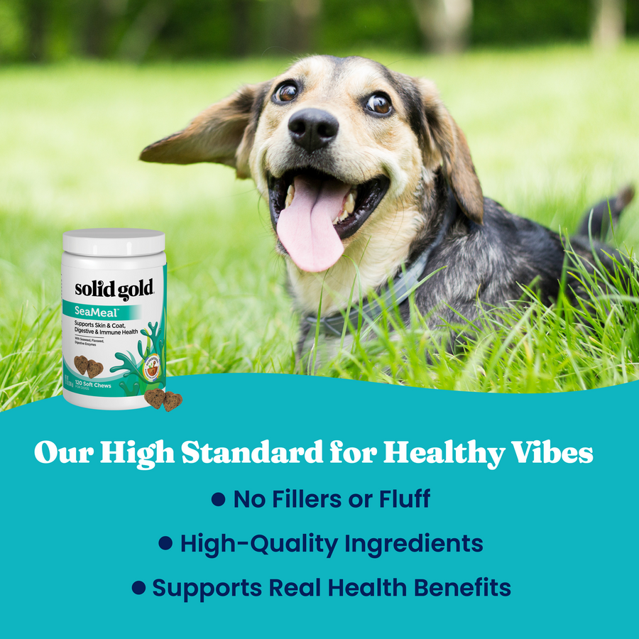 Dog Wellness Chews product image 6