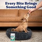 Dog Wellness Chews product image 7