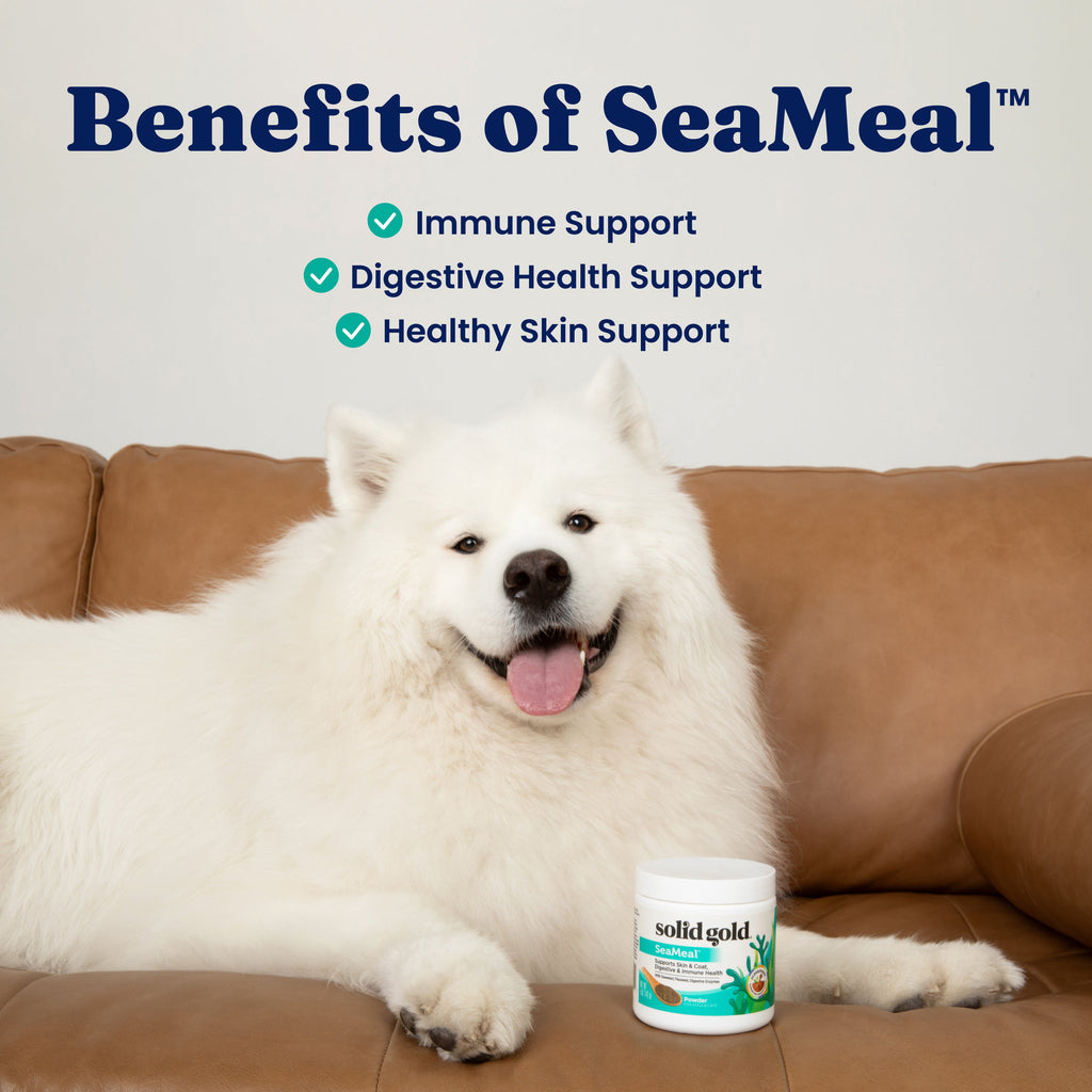 Pet Supplement Powder product image 4