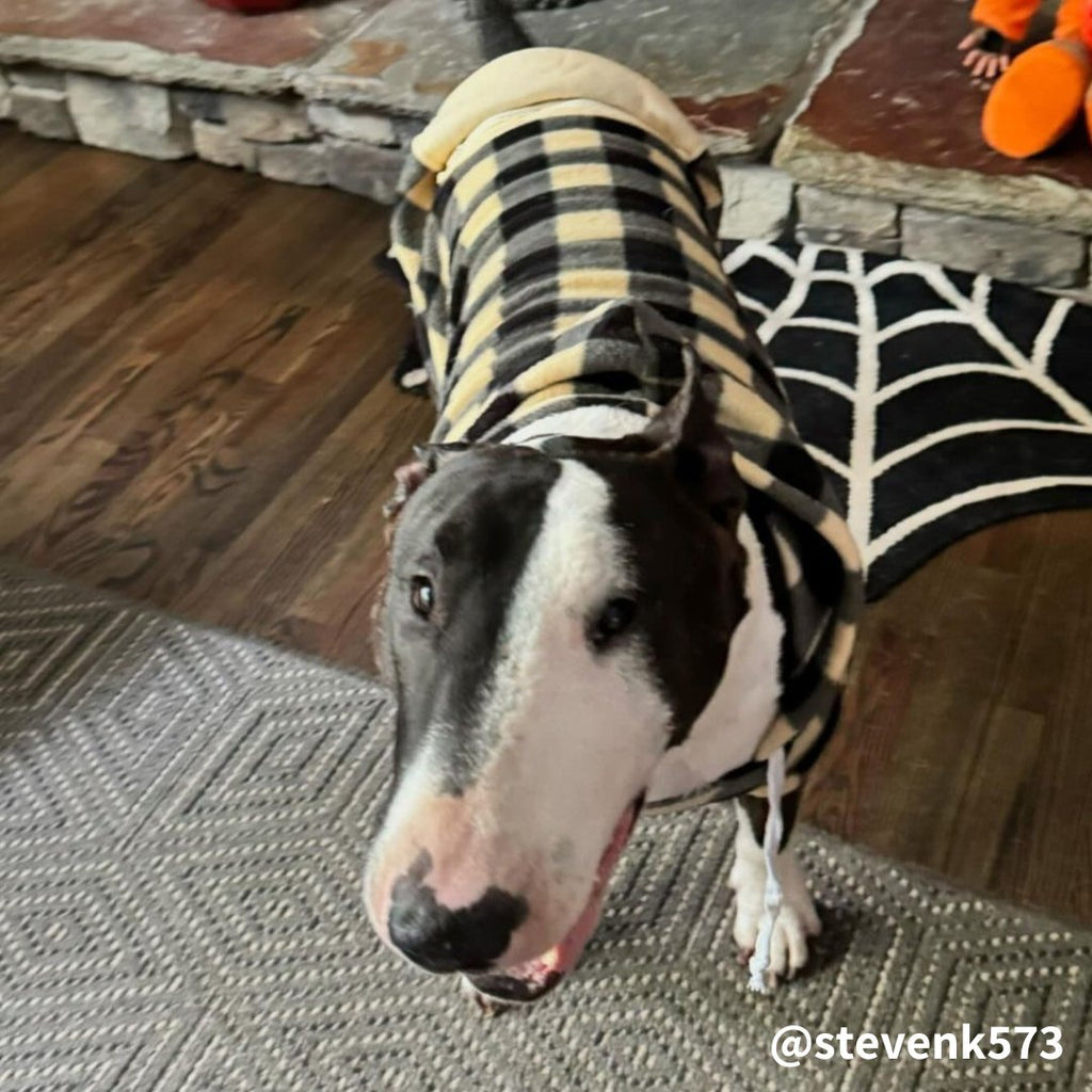 Pet Hoodie product image 3