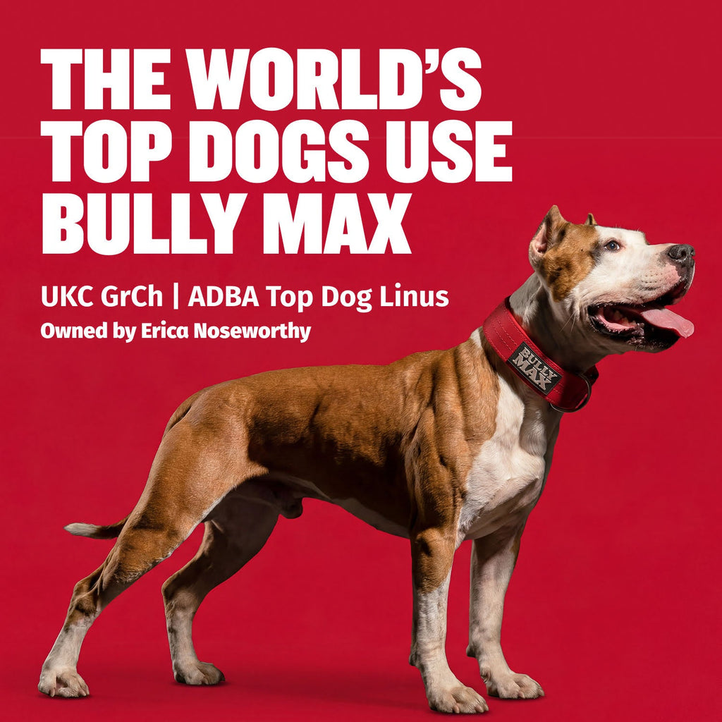 Freeze Dried Beef Dog Food Topper product image 6