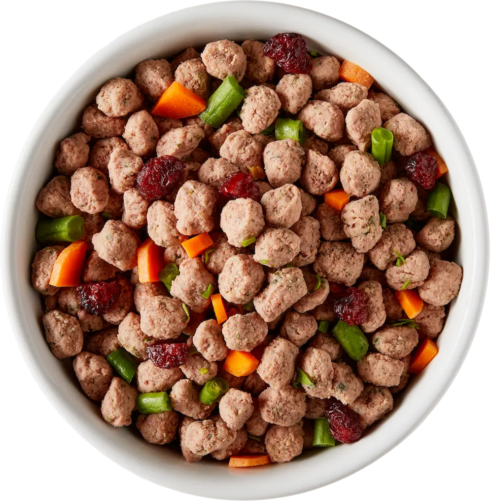 Fresh Beef and Chicken Dog Food product image 2