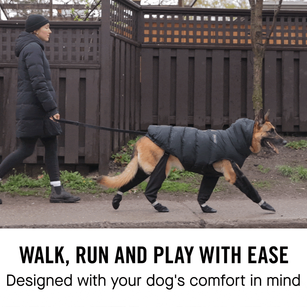 Suspender Boots in Black, Canada Pooch Dog Boots|| color::black|| size::na