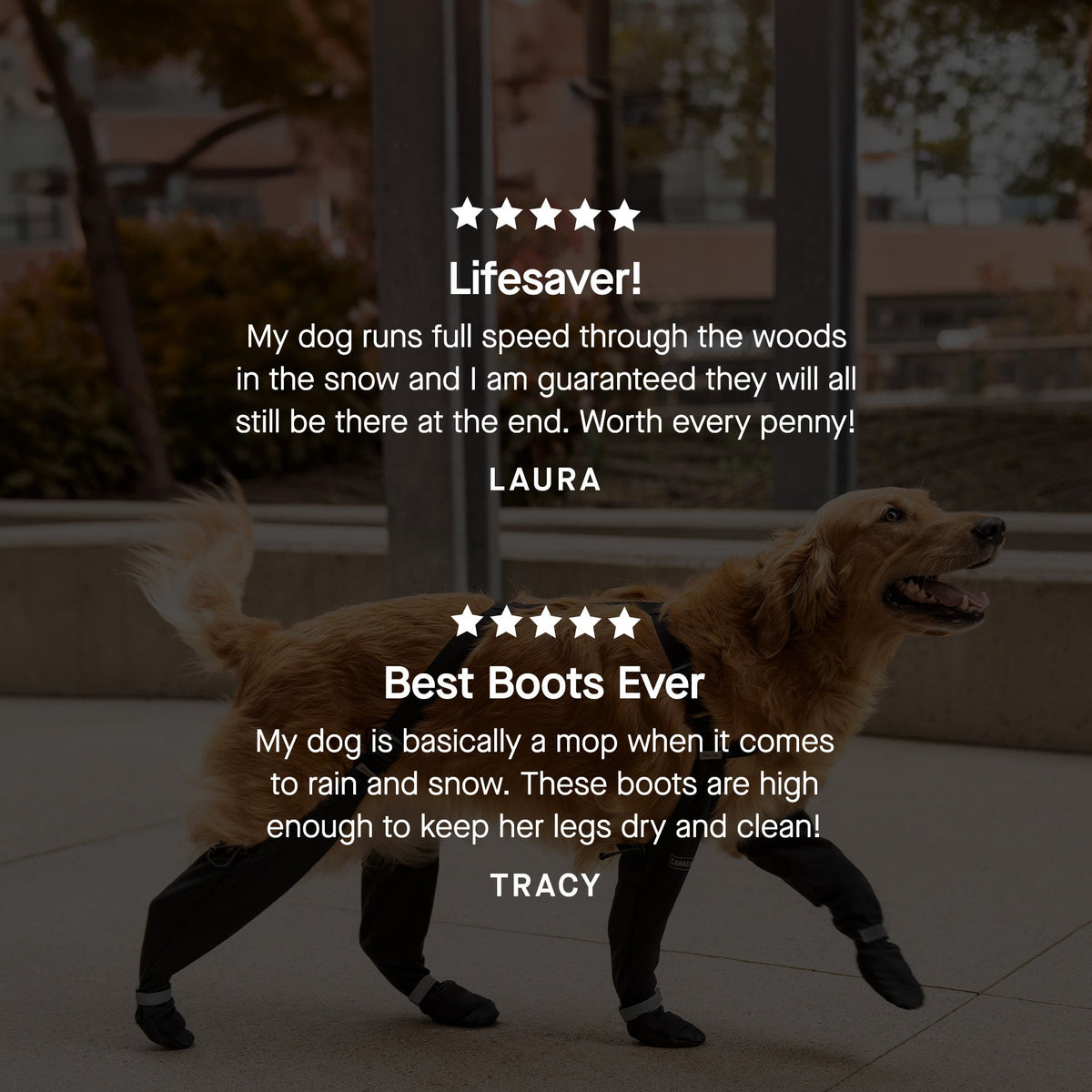 Suspender Boots in Black, Canada Pooch Dog Boots|| color::black|| size::na