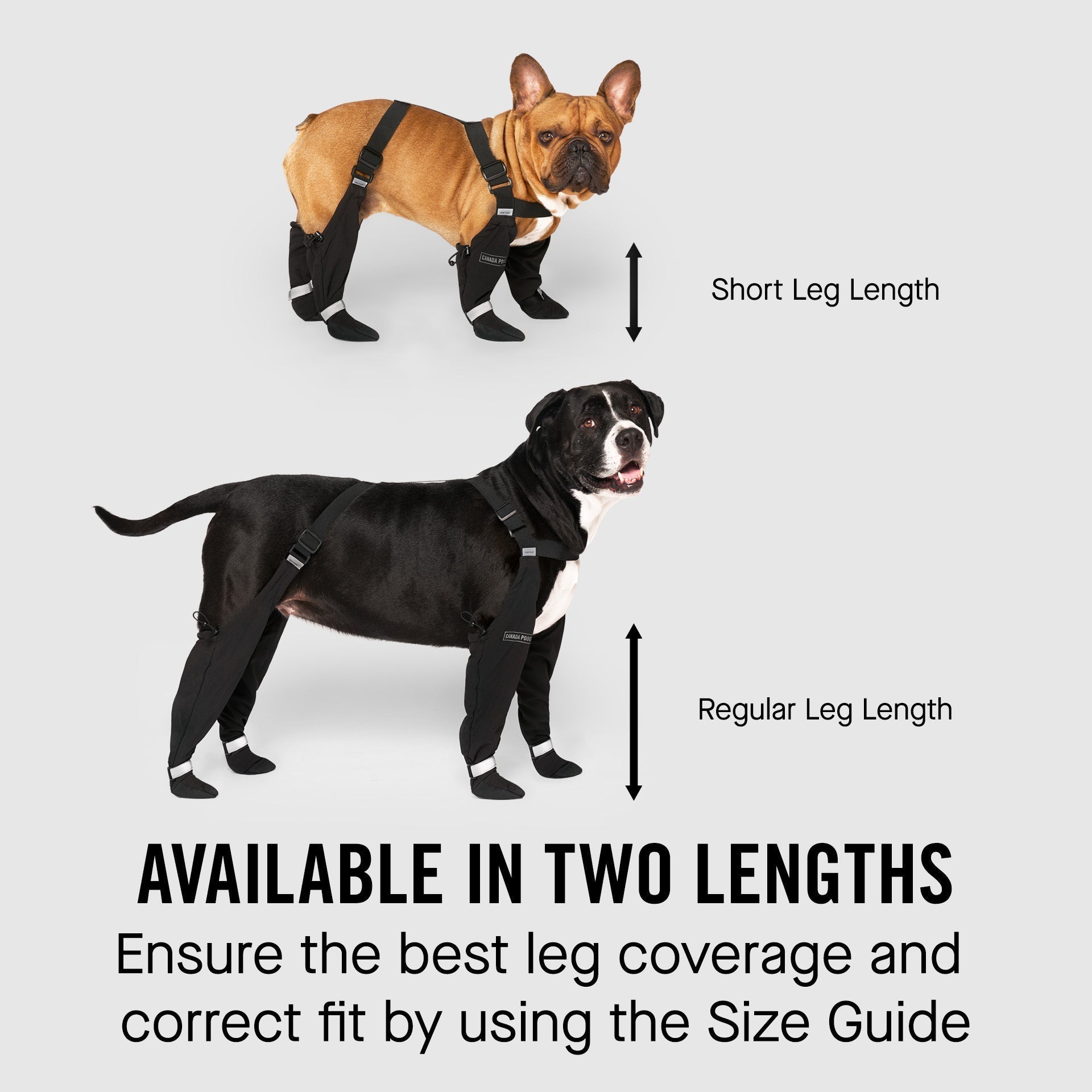Suspender Boots in Black, Canada Pooch Dog Boots|| color::red|| size::na