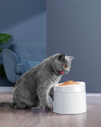 Elevated Cat Bowls product image 2