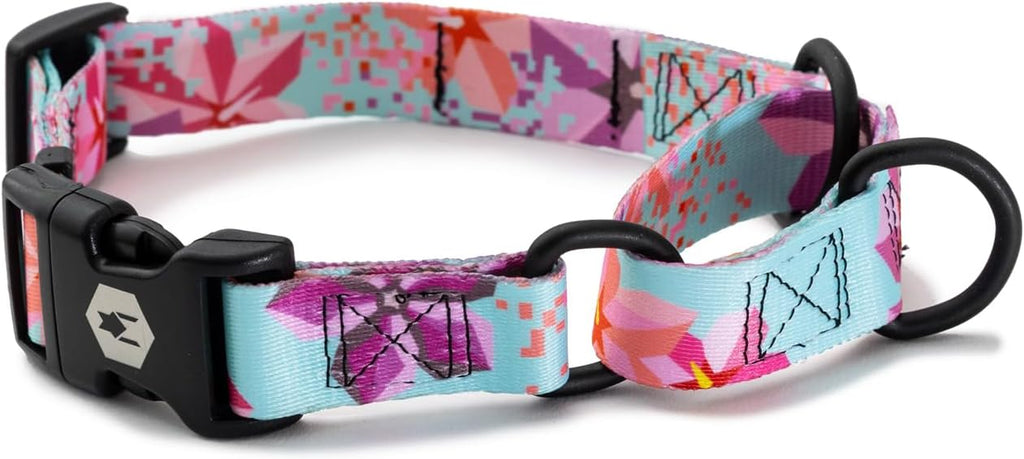 Martingale Dog Collar product image 1