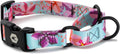 Martingale Dog Collar product image 1