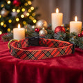Dog Collar product image 1