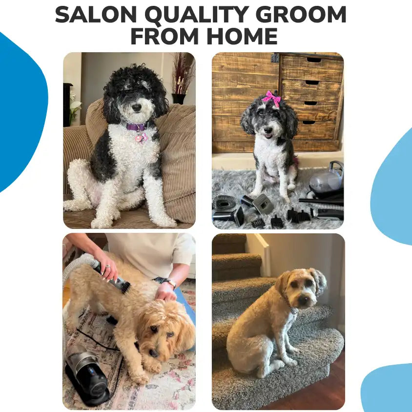 Professional Plus Pet Grooming Vacuum Kit product image 4