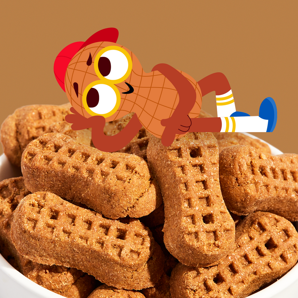 Soft and Chewy Peanut Dog Treats product image 2