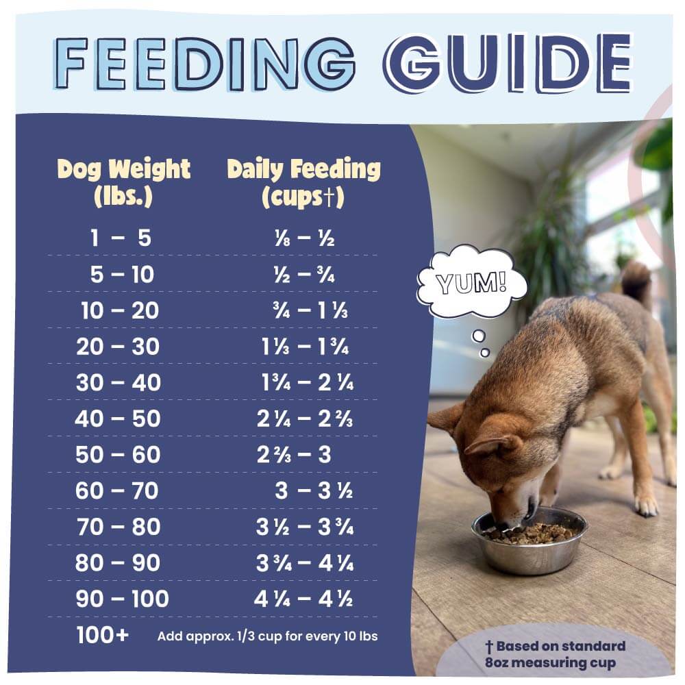 Feeding guide for dogs with a photo of a dog eating from a bowl.