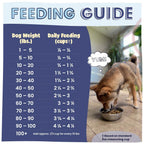 Feeding guide for dogs with a photo of a dog eating from a bowl.